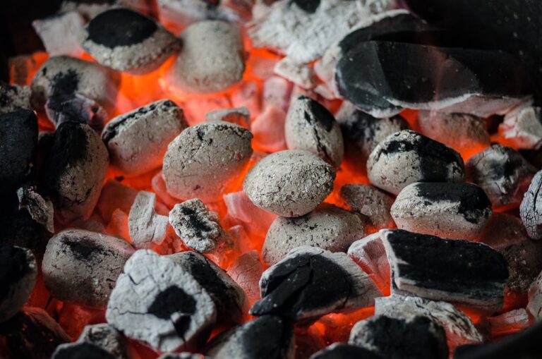 Best Smokeless Coal for Efficient and Eco-Friendly Heating