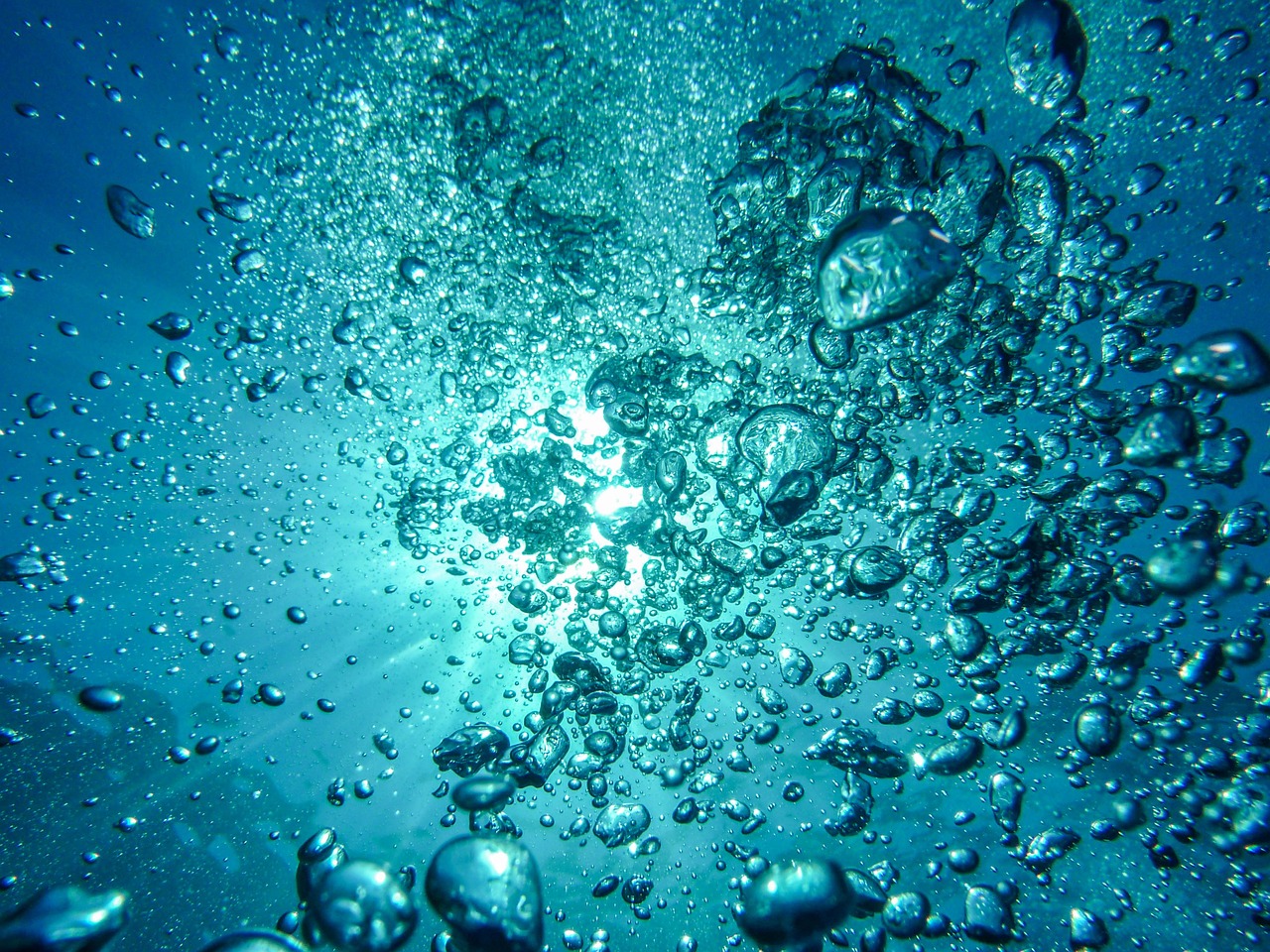 tank liner
