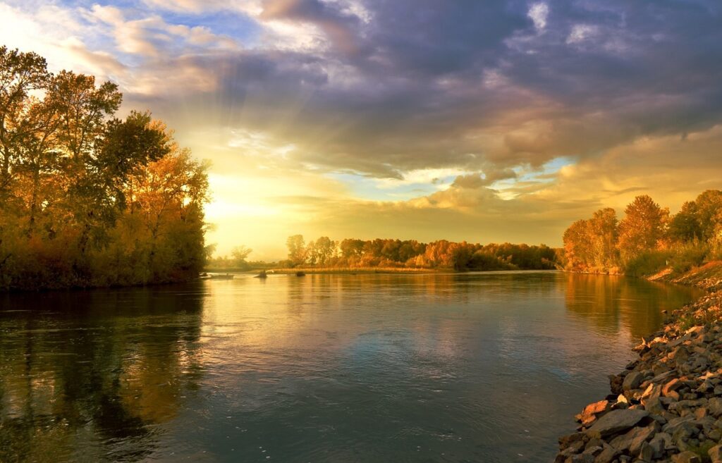 autumn